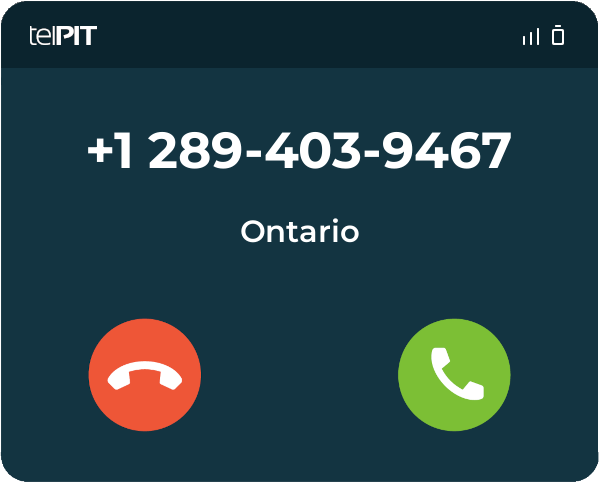 Who Is 2894039467 289 403 9467 From Ontario TelPIT   Image